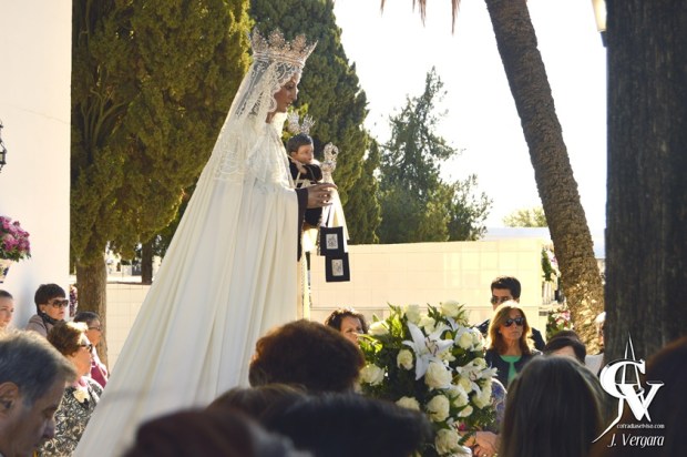 _dsc0127_carmenn16-vert