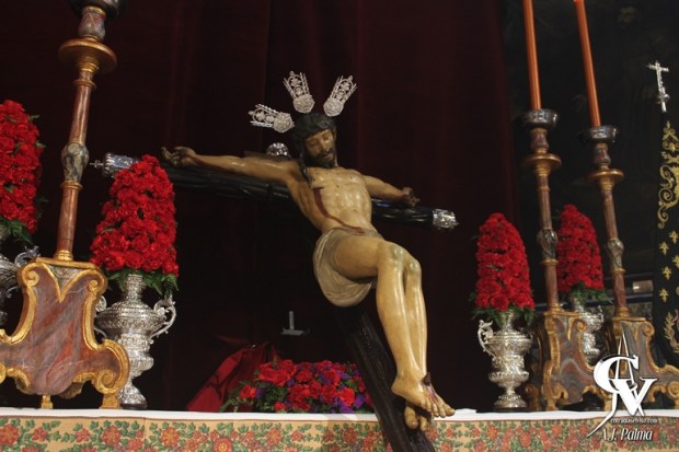 BesapiesAmor17-5-horz