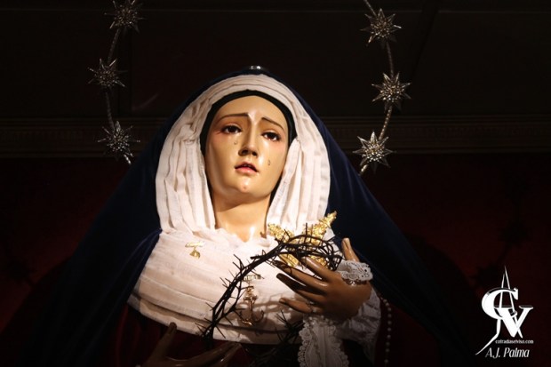 EspDonOrganos17-horz