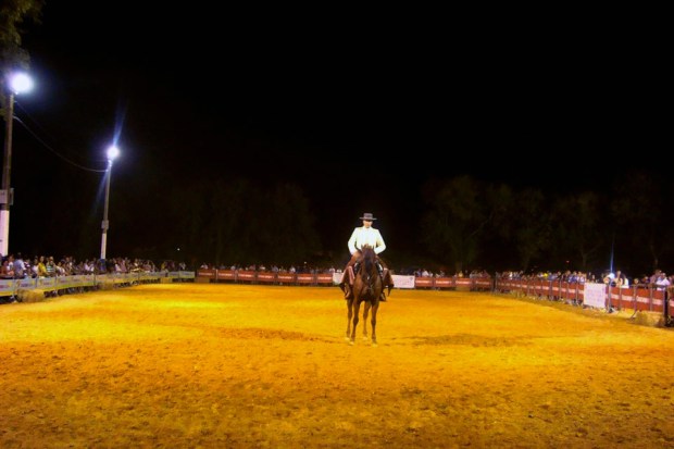 14046023_679555162202509_3836421007593541975_n